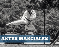 Tienda de Artes Marciales Depor Trainer