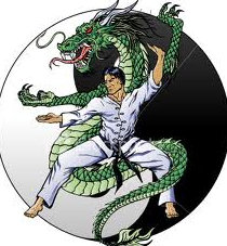 Dragon style kung fu