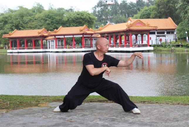 Images of kung fu moves: the praying mantis