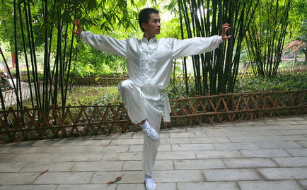 Weiße Kranichbewegung im Kung Fu
