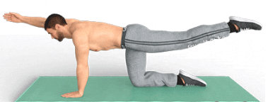 Arm and leg raises on all fours for the abdomen
