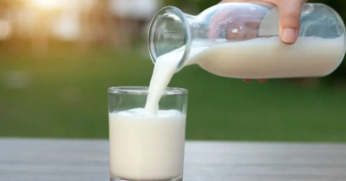 Milk, one of the foods that contain protein