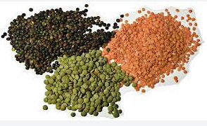 protein in lentils