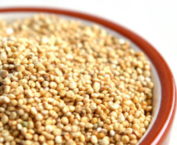 Quinoa, one of the 10 foods rich in protein