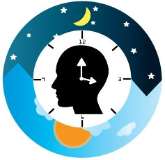 Fast according to circadian cycles