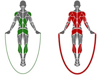 Seilspringen, welche Muskeln funktioniert es?