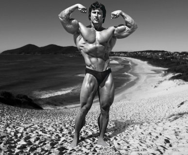 Body aux mensurations parfaites de Frank Zane