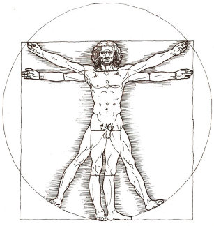 The vitruvian man