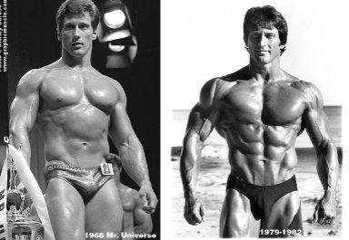 Frank Zane, Bodybuilder in Massephase und Definitionphase