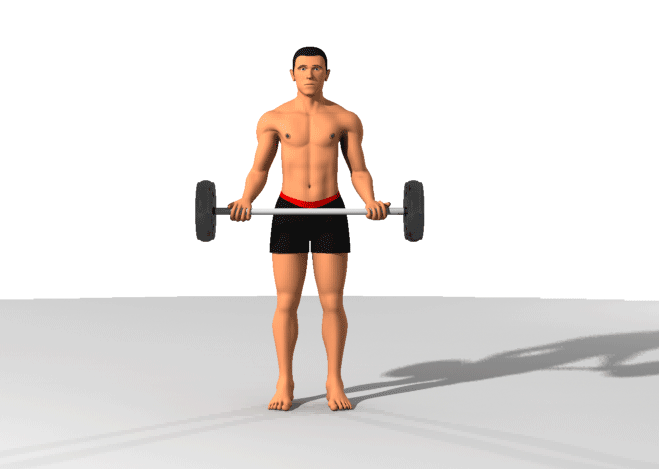 How to do the barbell curl correctly