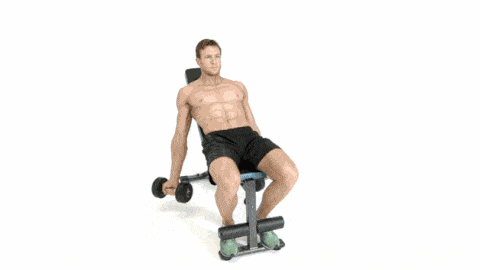 Dumbbell Incline Bench Bicep Curl