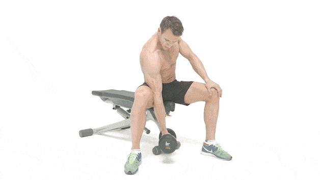 concentration curl to develop biceps
