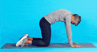 Cat pose to strengthen the lower back