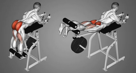 Reverse hyperextension machine for lumbar strengthening