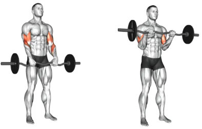 Reverse grip biceps curl, forearm weights