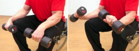 Wrist extension, exercise to strengthen forearm in the gym