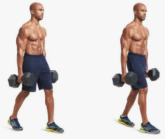 The farmer's walk, a forearm exercise for the gym