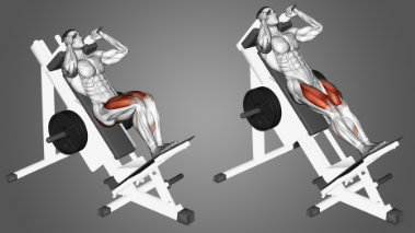 Hack Squat, quadriceps exercises in the gym