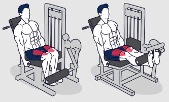 Quadriceps leg extension machine exercise