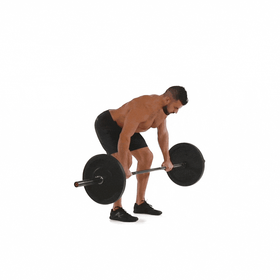 Bent over row, back exercises gym