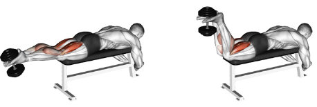 Dumbbell leg curls on a bench