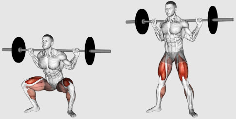 How to do the barbell sumo squat