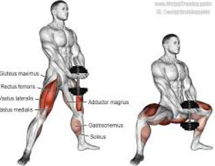 How to do the sumo squat with a dumbbell