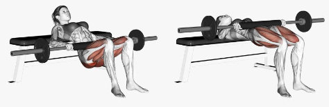 Hip Thrust para os glúteos