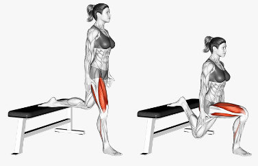 How to do Bulgarian squats to strengthen the hamstrings