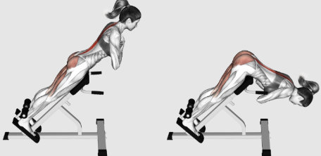 Gym bench hyperextensions to strengthen the glutes
