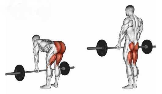 Romanian deadlift to exercise the lower back