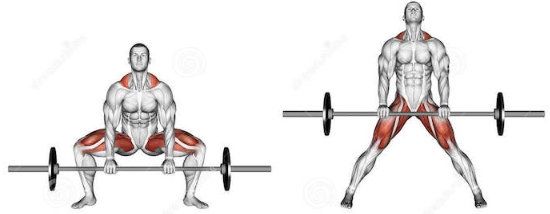 sumo deadlift to increase glutes