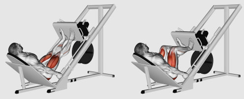 Leg press, exercise for a 4-day gym routine