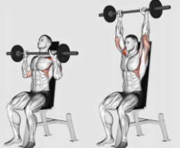 Seated Barbell Military Press Anterior Deltoid Exercise