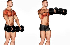 Dumbbell Front Raises