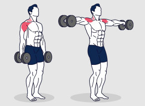 Lateral raises, exercises for lateral deltoids