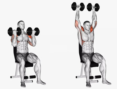 Dumbbell Arnold Press