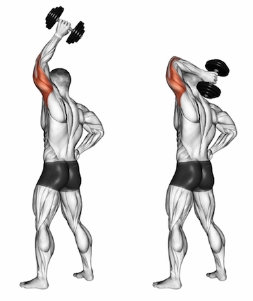 Triceps exercises; one arm dumbbell extension
