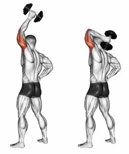 Exercícios de tríceps; extensão de haltere de um braço
