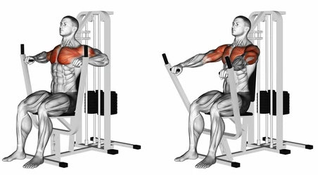 Triceps press machine exercise