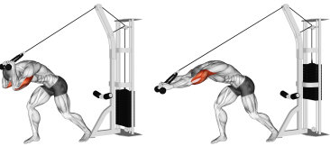 Overhead cable triceps extension exercise
