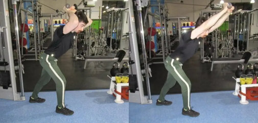 Overhead Triceps Extension Pulley V-Grip Exercise