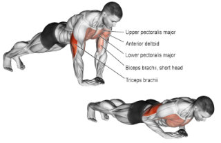 Diamond push-ups, bodyweight exercise for triceps