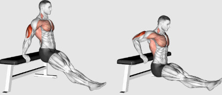 Bench dips for triceps