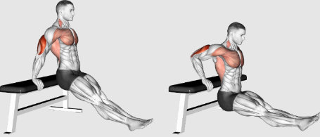 Banc dips pour les triceps