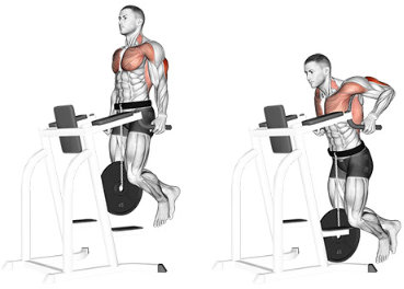 Dips for triceps on parallel bars