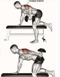 Dumbbell Triceps Kickback