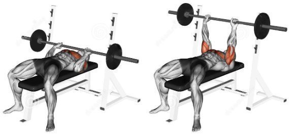 Close grip bench press; exercises for triceps in the gym