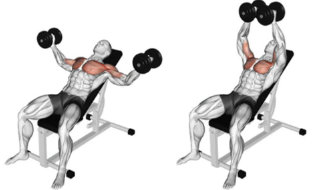 incline bench fly exercise with dumbbells for pectorals