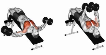 Decline Bench Dumbbell Flyes for Chest